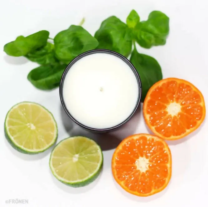 210g Soy Wax Candles