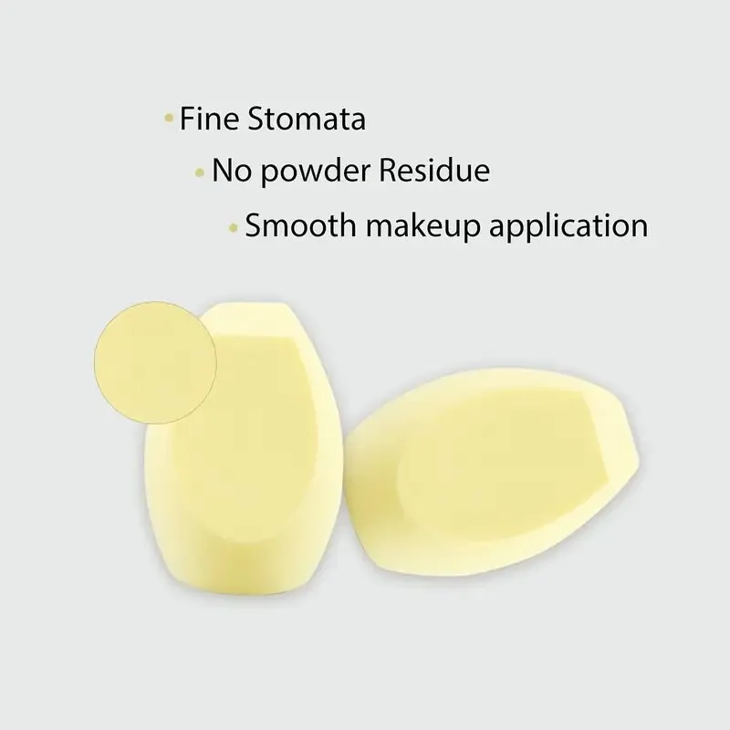 2pcs Makeup Sponges Set With Storage Box Makeup Sponges For Blending Liquid Foundations | Powders And Cream Flawless | Professional Streak