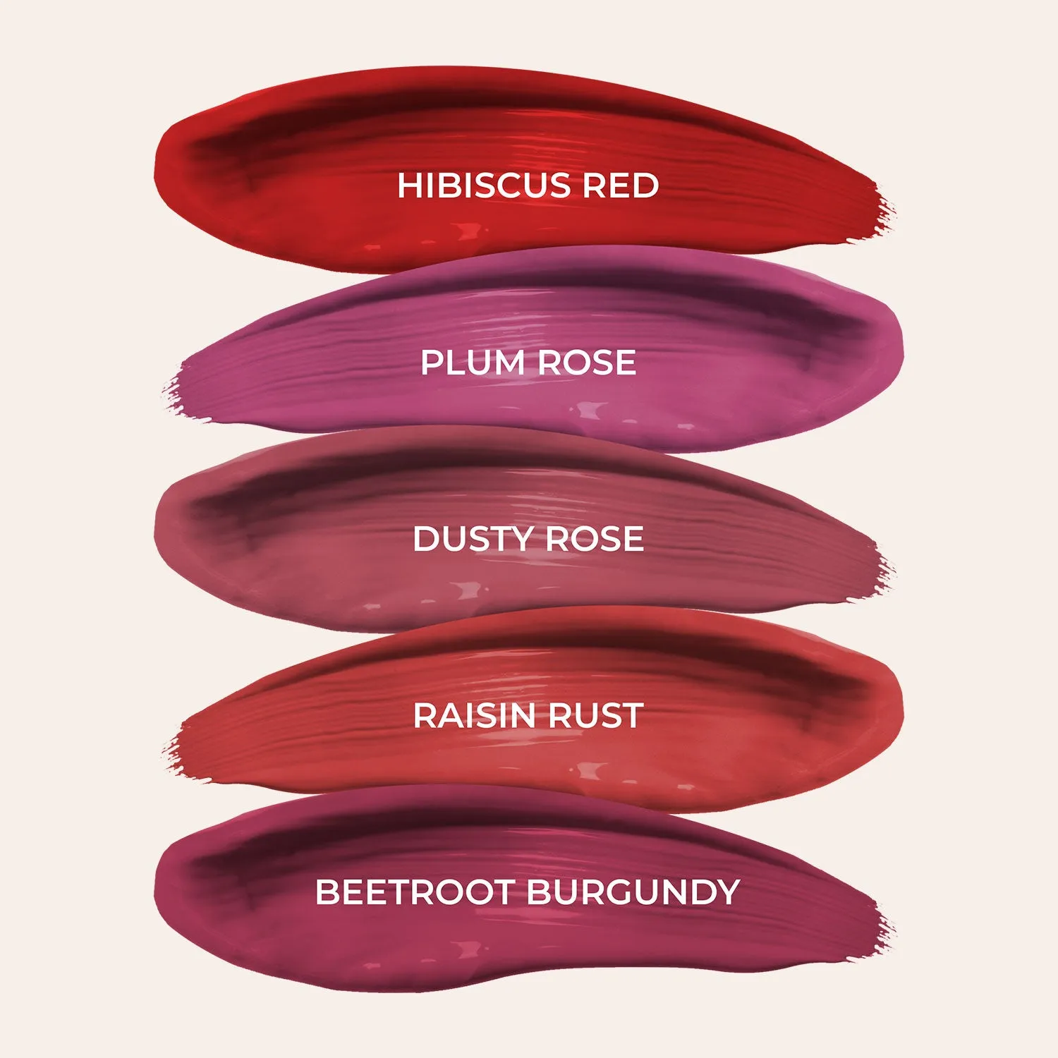 Full-Size Herb Enriched Matte Liquid Lipstick Kit: Set of 5