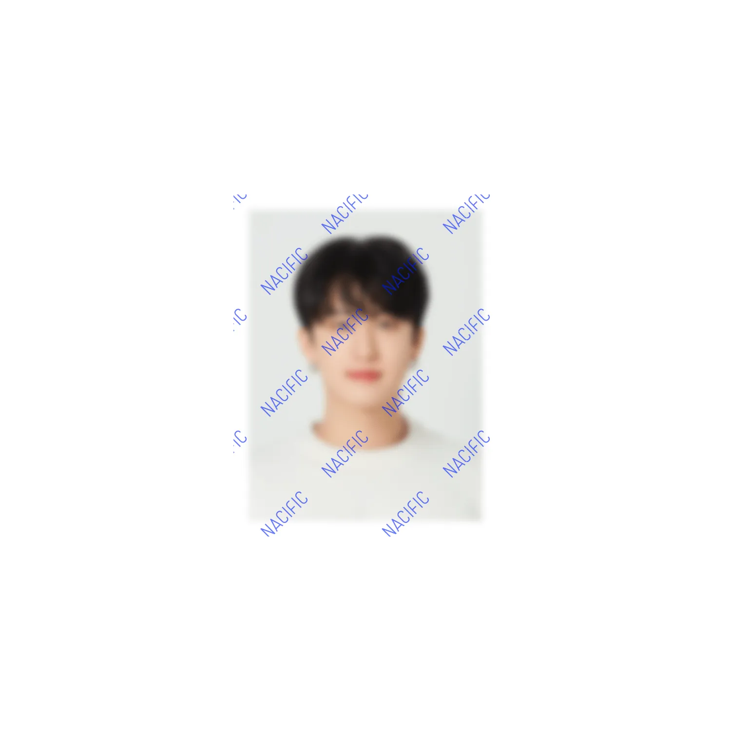 Limited Edition Vegan Hand Butter Set   SKZ Photo ID Set