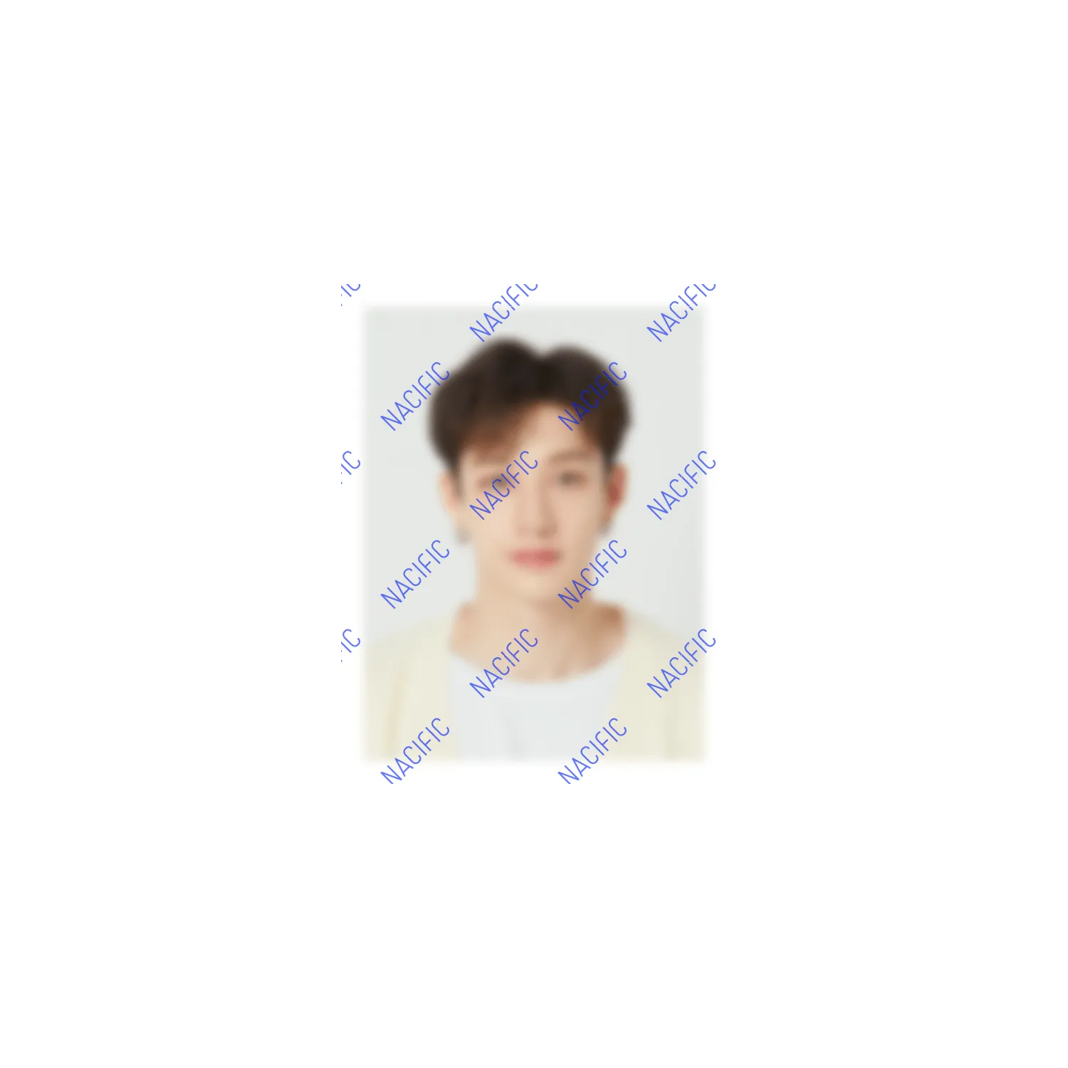 Limited Edition Vegan Hand Butter Set   SKZ Photo ID Set