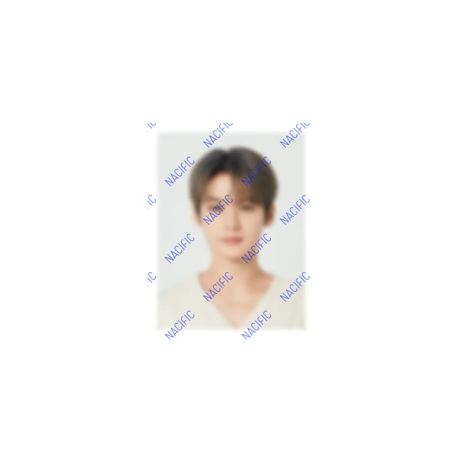 Limited Edition Vegan Hand Butter Set   SKZ Photo ID Set