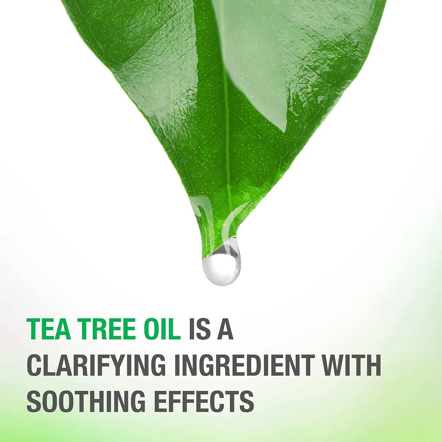 Tea Tree Oil Scalp Soothing Shampoo -12oz